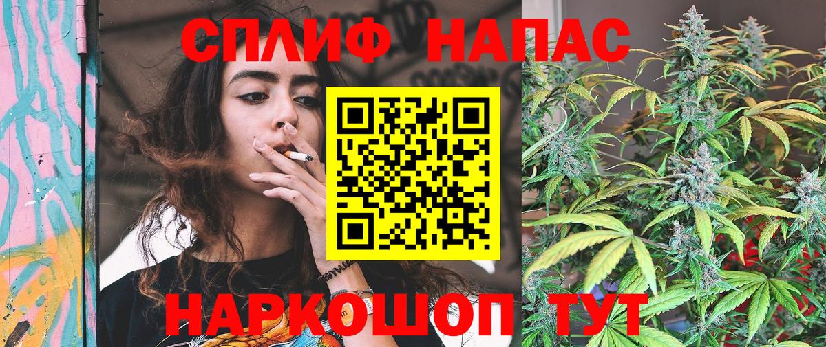 Камышин  Каннабис тримм  МАРИХУАНА план  Вход с VPN 